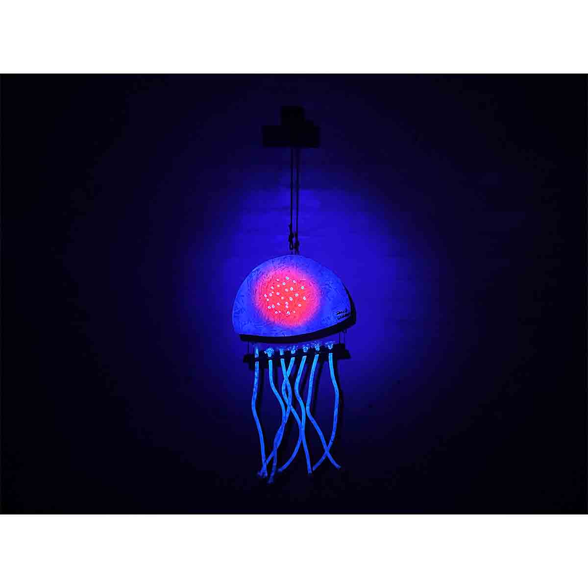 JELLYFISH RED #1 - LUMINOUS DEPTHS